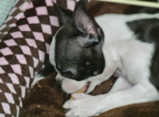 2012-07-21_22-03-44