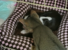 2012-07-21_22-04-19