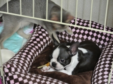 2012-07-21_22-05-07
