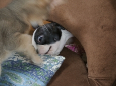 2012-07-22_14-35-26