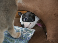 2012-07-22_14-35-27