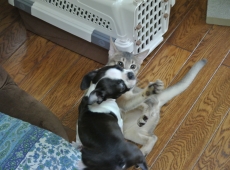 2012-07-22_14-36-49