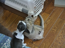2012-07-22_14-36-49_01