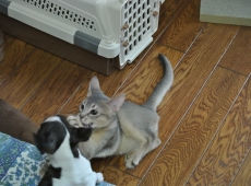 2012-07-22_14-36-49_02
