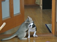 2012-07-22_14-37-37
