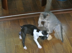2012-07-22_14-40-24