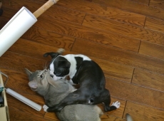2012-07-22_14-43-09