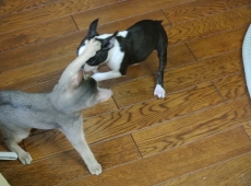 2012-07-22_14-43-26