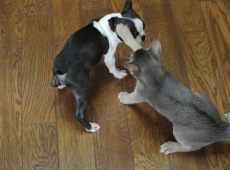 2012-07-22_14-46-56