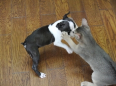 2012-07-22_14-46-56_01