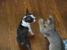 2012-07-22_14-46-57