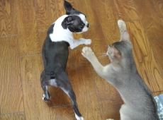 2012-07-22_14-46-57_01