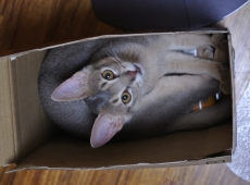 2012-07-25_23-49-57