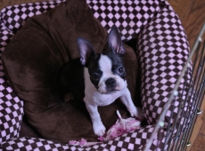 2012-07-27_21-08-47