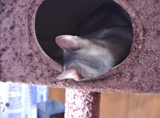 2012-08-04_15-05-07