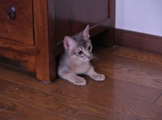 2012-08-05_13-56-21