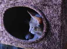 2012-08-08_09-41-55
