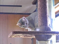 2012-08-08_11-20-00