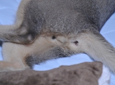 2012-08-12_01-28-58