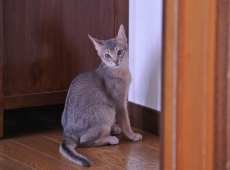 2012-08-12_11-39-03