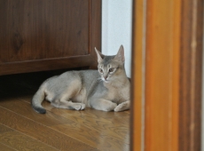 2012-08-12_11-39-52