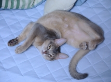 2012-08-14_23-00-39