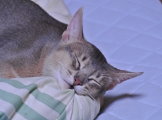 2012-08-17_21-20-26