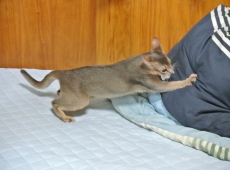 2012-08-24_14-56-56