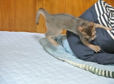 2012-08-24_14-56-56_01