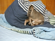 2012-08-24_14-57-00_01