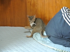 2012-08-24_15-03-57