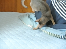 2012-08-24_15-05-00