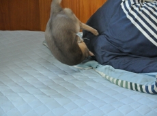 2012-08-24_15-05-01