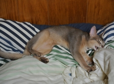 2012-08-27_22-30-40