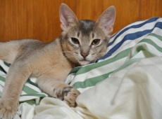 2012-08-27_22-32-03
