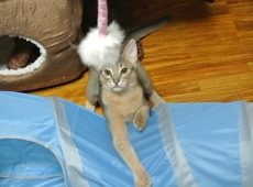 2012-09-01_00-07-27