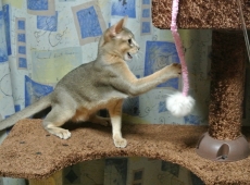 2012-09-01_00-12-10