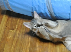 2012-09-29_23-33-12