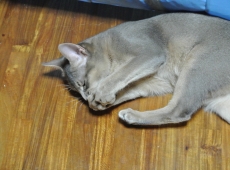 2012-09-29_23-33-18