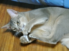2012-09-29_23-33-35