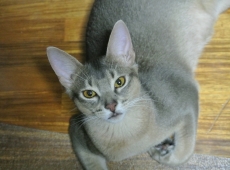 2012-09-29_23-35-20