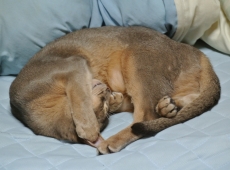 2012-11-05_19-00-58