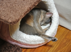 2012-11-22_00-43-28