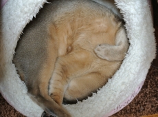 2012-12-12_17-09-18