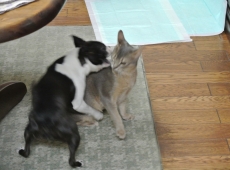 2013-02-01_17-57-39