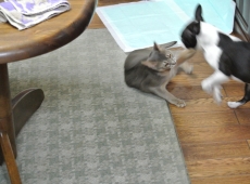 2013-02-01_17-59-53