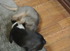 2013-02-01_18-02-12_01