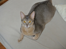 2013-02-06_13-52-48