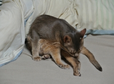 2013-02-18_16-09-14