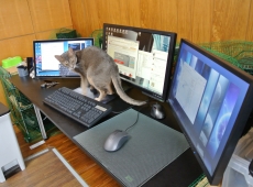 2013-04-30_09-43-26